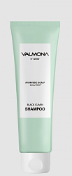 Шампунь для волос АЮРВЕДА Ayurvedic Scalp Solution Black Cumin Shampoo, 100 мл, VALMONA